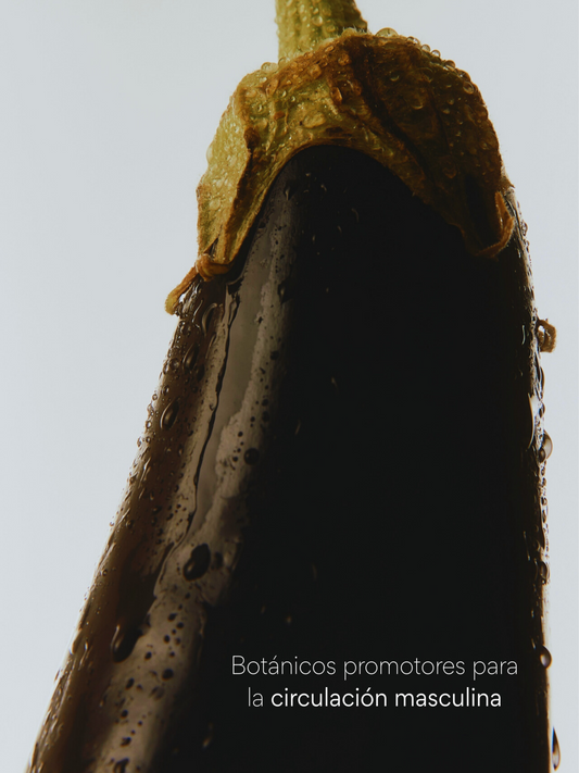 La crisis de la masculinidad en 2025: cómo reencontrar tu propósito