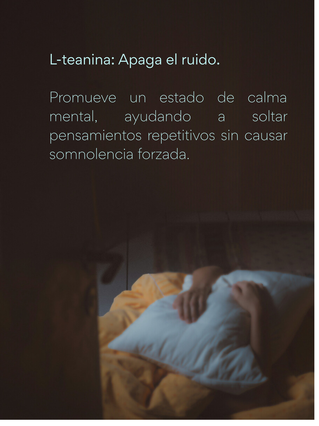 Noche Clara - Magensio + Zinc