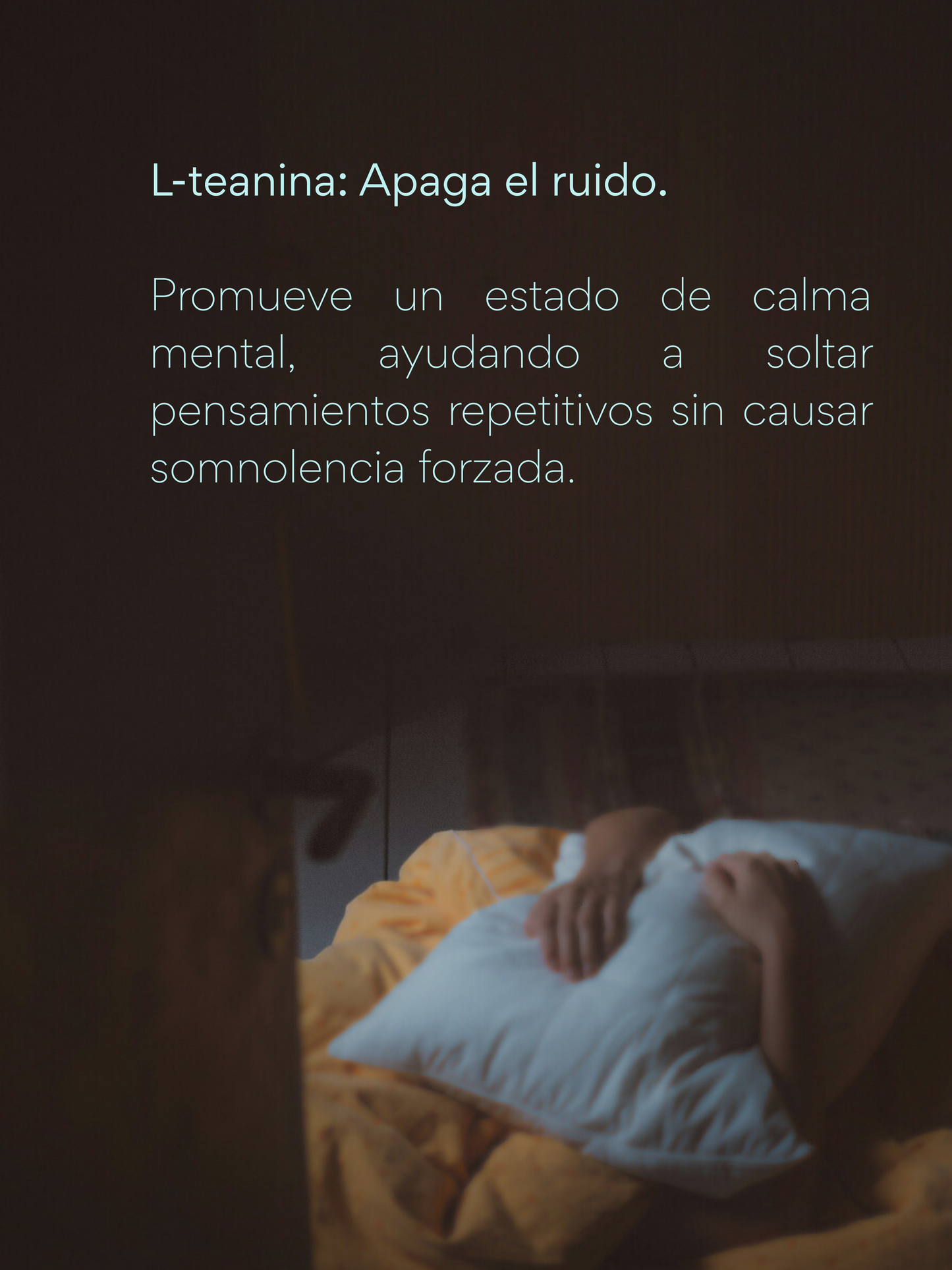 Noche Clara - Magnesio + Zinc