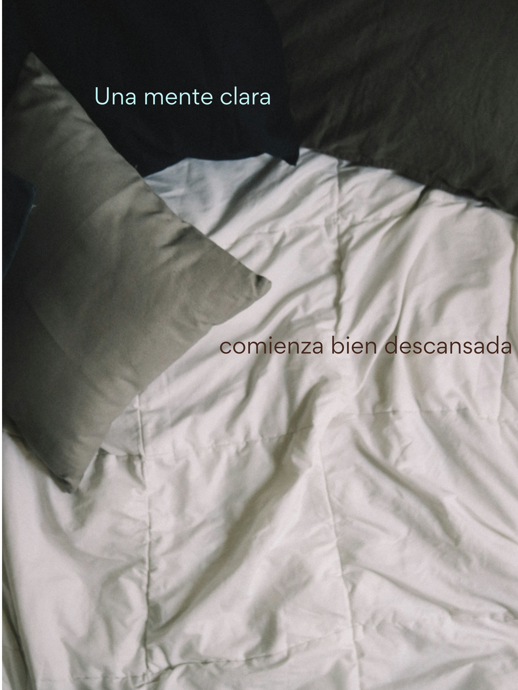 Noche Clara - Magensio + Zinc