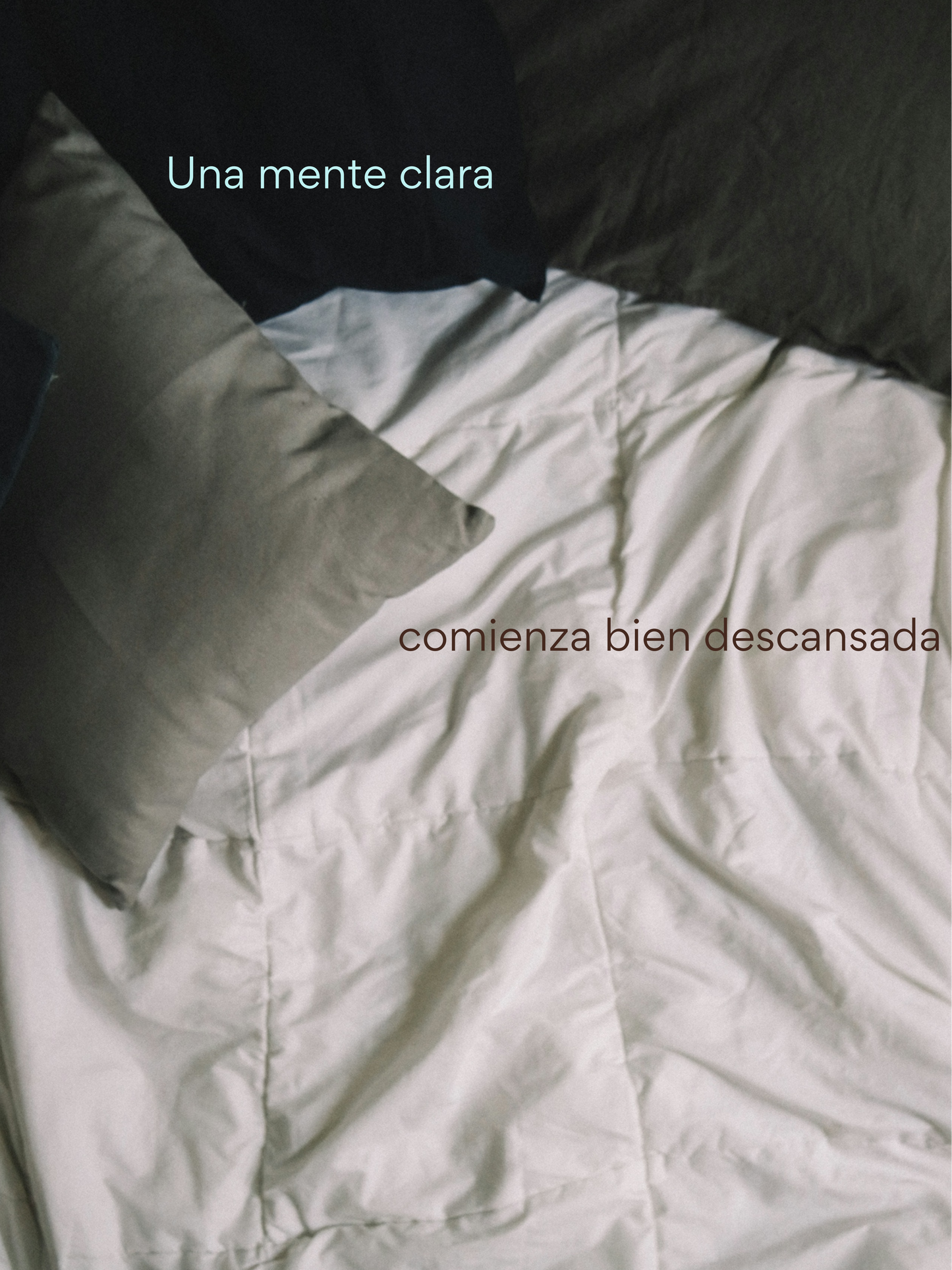 Noche Clara - Magnesio + Zinc