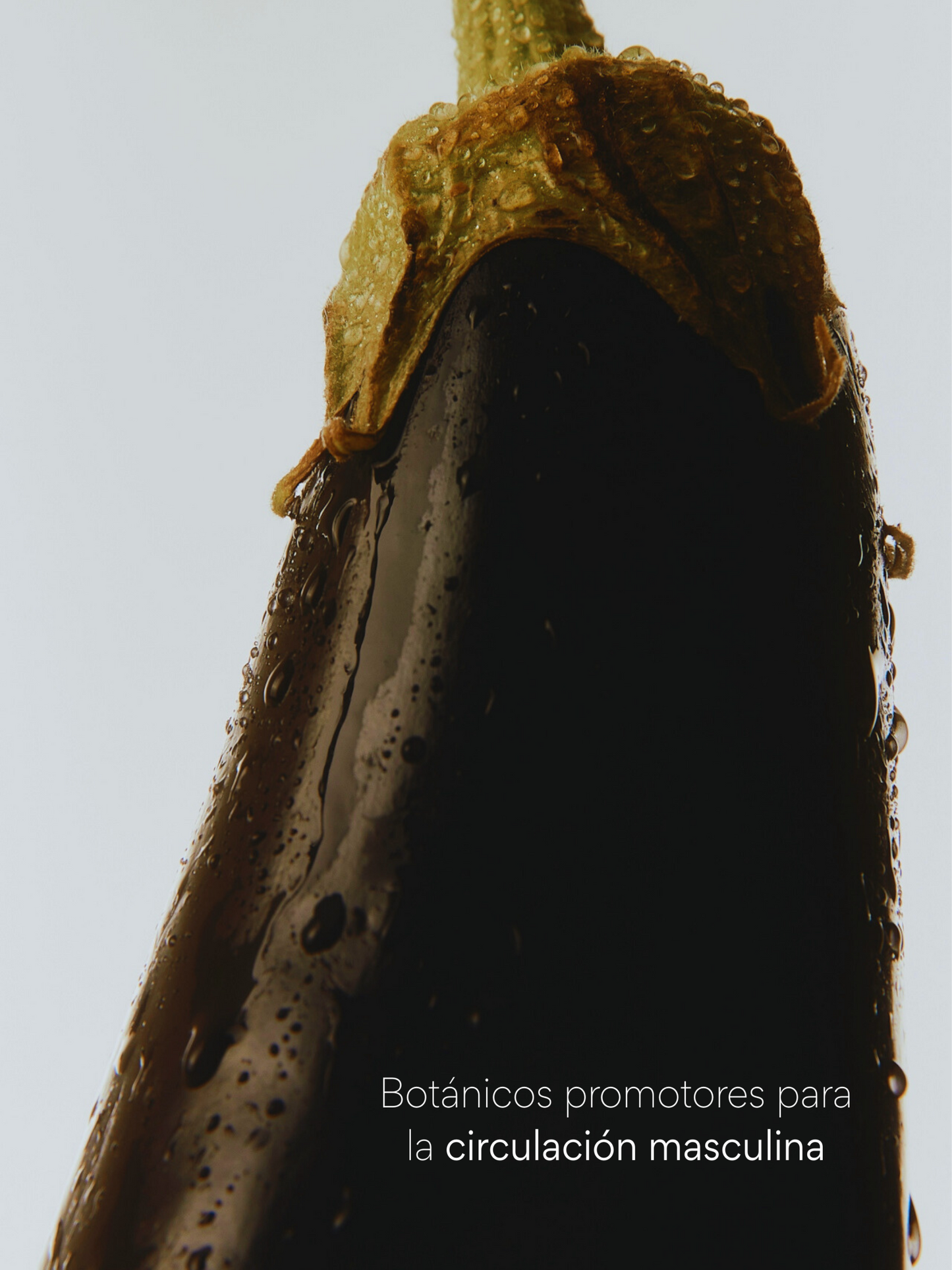 Multi Men - Multivitamínico Diario Masculino